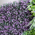Artificial purple wall diy vertical garden for shop decoration